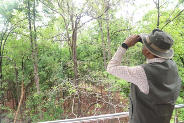 ସମ୍ବଲପୁରର ଉଷାକୋଠି ଅଭୟାରଣ୍ୟର ସୁରକ୍ଷା ସହ ସମସ୍ତ ବିକାଶ ପାଇଁ ହେବ ଯୋଜନା - କେନ୍ଦ୍ର ଶିକ୍ଷାମନ୍ତ୍ରୀ ଧର୍ମେନ୍ଦ୍ର ପ୍ରଧାନ