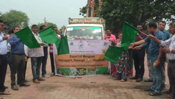 ପାଟଣାଗଡ଼ରୁ ଆବୁଧାବି ଓ ଲଣ୍ଡନକୁ ଗଲା ଆମ୍ବ