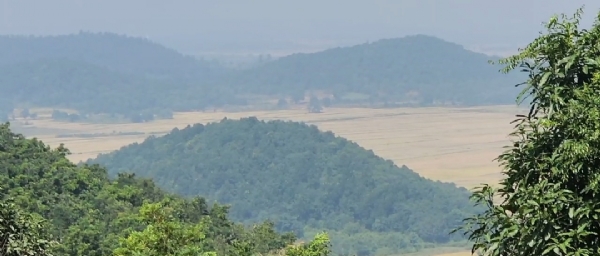 ଅବହେଳିତ ପାହାଡିଆ ଗାଁ ପଢେଇଗୁଡା
