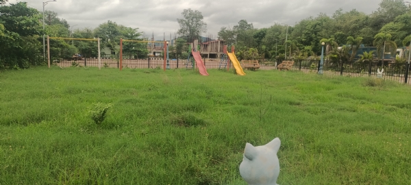 ମଦୁଆ ଓ ଗଂଜୁଆଙ୍କ ପାଲଟିଛି ଆଡ୍ଡାସ୍ଥଳି ୧