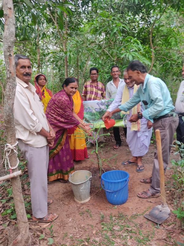 Ujjal
