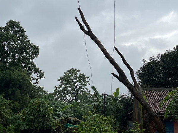 ବିପଦପର୍ଣ୍ଣ ଅବସ୍ଥାରେ ମୁଖ୍ୟ ବିଦ୍ୟୁତ୍ ତାର, ବିଭାଗ ଏବେବି ନୀରବଦ୍ରଷ୍ଟା