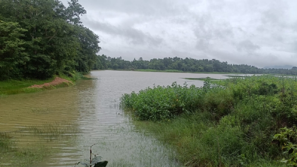 ସିଁଯୋରୀ କଟା କୁ ଇକୋ ଟୁରିଜିମ୍ କରିବାକୁ ଦାବି।