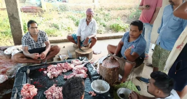 RASTA KADARE KUKUDA & CHELI KATA CHALICHI