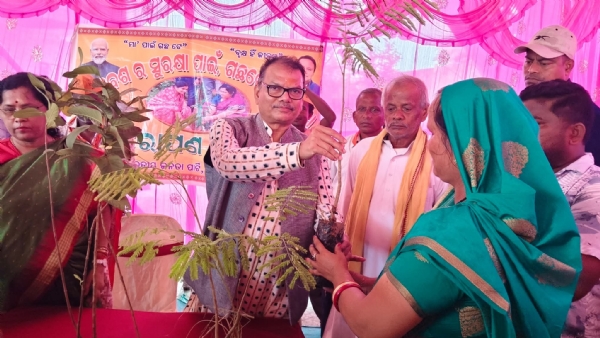 ବିଂଝାରପୁରଠାରେ ଚାରାରୋପଣ କାର୍ଯ୍ୟକ୍ରମ
