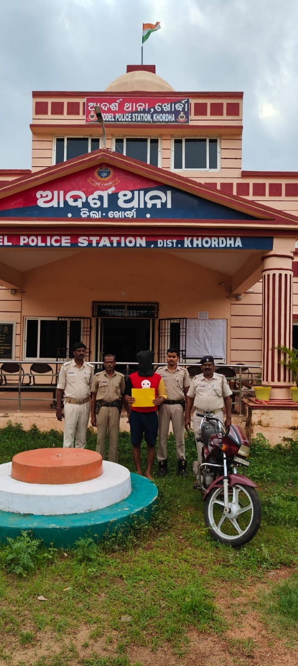 ବ୍ରାଉନ ସୁଗାର