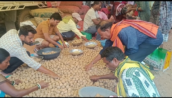 ରୋଷେଇ ଘର ତାତି ବଢାଉଛି   ପରିବା ଦର