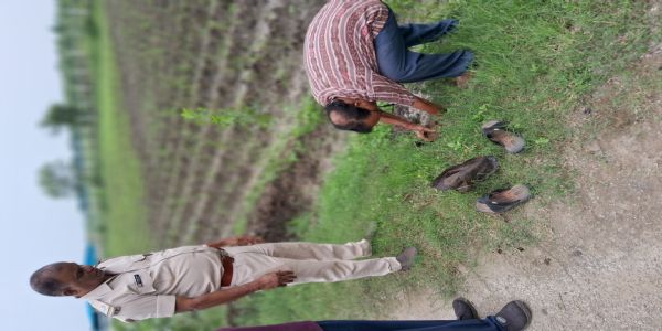 ସୁରଭି ଗୋଶାଳାରେ ବୃକ୍ଷରୋପଣ