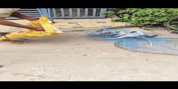 ବିଲେଇ ମୁଣ୍ଡ ରୁ ଟିଣ ଦବା କାଢ଼ିଲେ ଆଗ୍ନିକ