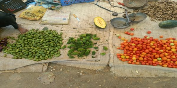 ରୋଷେଇ ଘର ତାତି ବଢାଉଛି ପରିବା ଦର