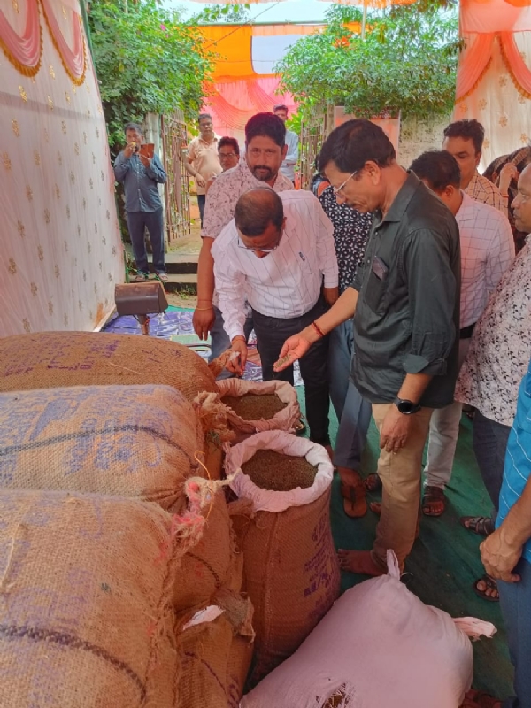 ଚନ୍ଦନଭାଟି ପେସ୍କରେ ପ୍ରଥମ ଥାର  ଲାଗି ତୈଳ ଜାତୀୟ ବୀଜ କ୍ରୟର ଶୁଭାରମ୍ଭ