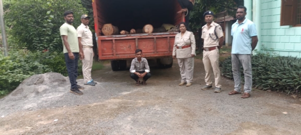 କାଠ ସହ ଟ୍ରକ ଜବତ, ଗାଡି ଚାଳକ ଗିରଫ -  -