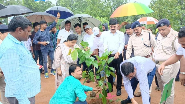 ସୁବର୍ଣ୍ଣପୁର ଠାରେ ଜିଲ୍ଲା ସ୍ତରୀୟ ବନ ମହୋତ୍ସବ ପାଳନ - ଗଛ ଲଗାଇଲେ ଜିଲ୍ଲାପାଳ ଓ ଏସପି