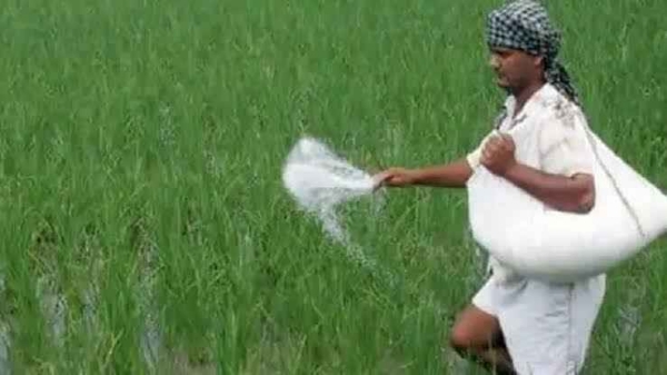 ସାରର ଅଭାବୀ ବିକ୍ରୀ; ଚିନ୍ତାରେ ଚାଷୀ, ଅସହାୟ ସାର ବ୍ୟବାସାୟୀ