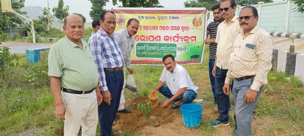 ପଣ୍ଡରା ସମାଜର ବୃକ୍ଷରୋପଣ