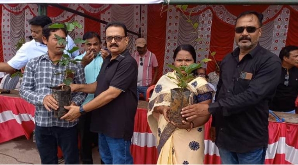ଚାରା ବଣ୍ଟନ କଲେ ବଲାଙ୍ଗିର ଜିଲ୍ଲା ଓକିଲ ସଂଘ