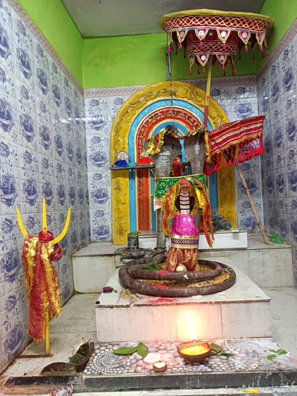 ଦେବାଳୟ ସୁରକ୍ଷା କମିଟି ପକ୍ଷରୁ ନାଗ ପଂଚମୀ ପୂଜା