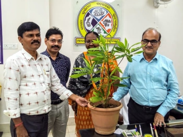 Plantation program