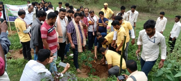 ଦଧିବାମନ ଜୀଉ ସଂସ୍କୃତ ମହାବିଦ୍ୟାଳୟ ପକ୍ଷରୁ ଚାରାରୋପଣ