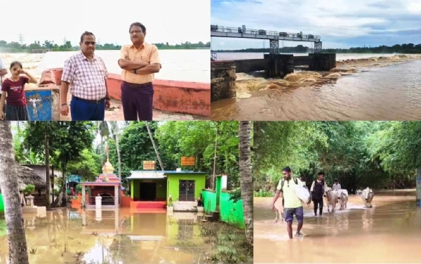 DHAMNAGAR TALIA ANCHAL PANI GHERARE