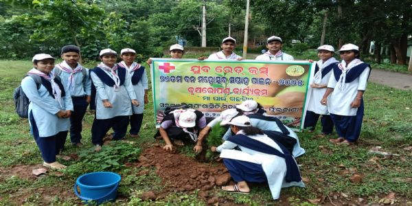 ଫୁଲବାଣୀ ସରକାରୀ ସ୍ଵୟଂଶାସିତ ମହାବିଦ୍ୟାଳୟରେ ବୃକ୍ଷରୋପଣ କାର୍ଯ୍ୟକ୍ରମ