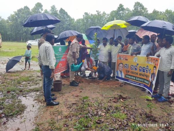 Baragoda ବୃକ୍ଷରୋପଣ