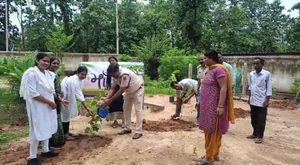 ସୋନପୁର ଏସ ଡି ପି ଓ କାର୍ଯ୍ୟାଳୟ ଠାରେ ବନ ମହୋତ୍ସବ ପାଳନ