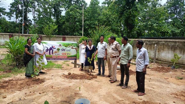 ସୋନପୁର ଏସ ଡି ପି ଓ କାର୍ଯ୍ୟାଳୟ ଠାରେ ବନ ମହୋତ୍ସବ ପାଳନ