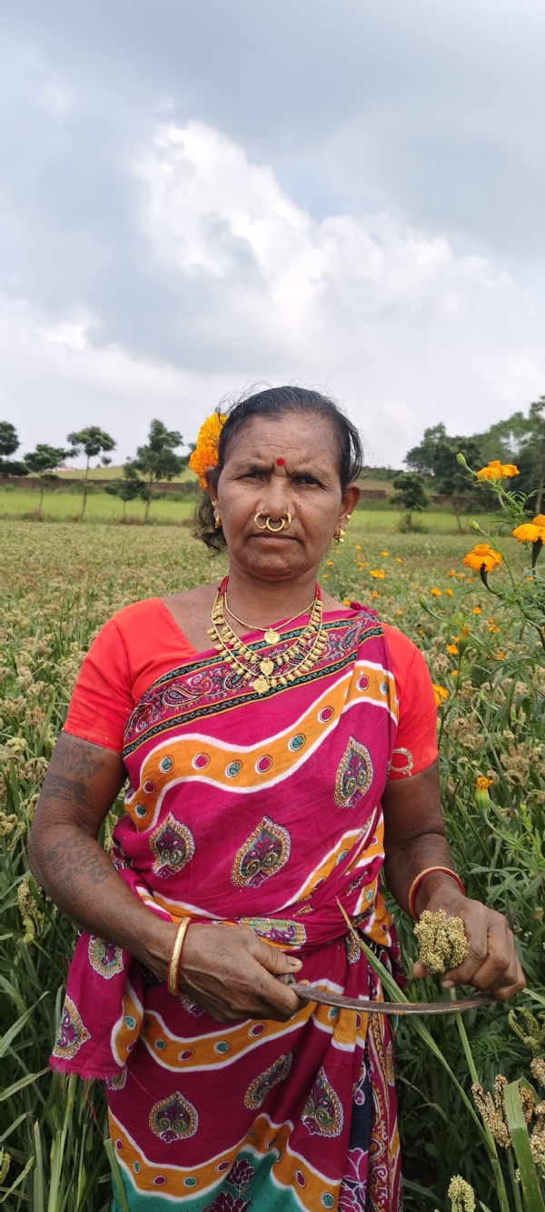 ବିହନ ଉତ୍ପାଦନ କରି ସ୍ୱାବଲମ୍ବି ହେଇଛନ୍ତି  ଆଦିବାସୀ ମହିଳା