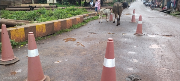 କଲଭର୍ଟ