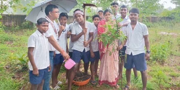 ଭୋଜପୁର ସରକାରୀ ଉଚ୍ଚ ବିଦ୍ୟାଳୟରେ ବନମହୋତ୍ସବ
