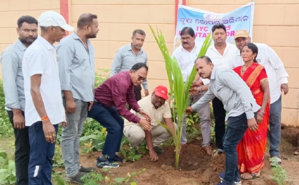ସମବାୟ ବିଭାଗ ତରଫରୁ ଚାରା ରୋପଣ