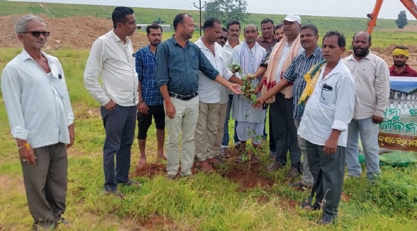 *ଲୋୟର ସୁକତେଲ ଡେମ୍ ଦ୍ୱାରା ଉଜୁଡିଯାଇଥିବା ଜଂଗଲ ର  ପୁନଃଉଦ୍ଧାର ନିମନ୍ତେ ତଳି ଅଂଚଳ ରେ ବୃକ୍ଷ ରୋପଣ*