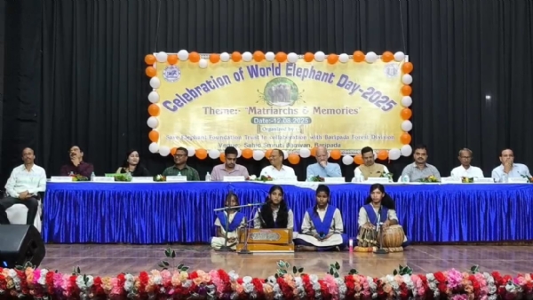 Vishwa Hasti Divas Palita