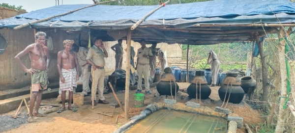 Desi Mada O Puch Jabat,  2 Giraf