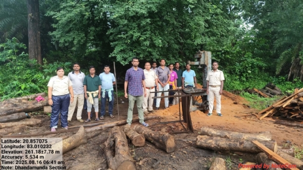 ଜଙ୍ଗଲ ଭିତରେ ଚୋରା କାଠ ଫ୍ୟାକ୍ଟ୍ରି ଠାବ : ଶାଗୁଆନ ଗଣ୍ଡି ସହ ଯନ୍ତ୍ରପାତି ଜବତ