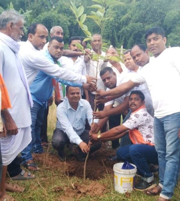 DOBAL PANCHAYAT BRUKHYA ROPAN