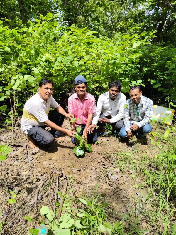 ଲକ୍ଷ୍ମୀ ଡୁଙ୍ଗୁରୀର ବିକାଶ ହେଲେ ପର୍ଯ୍ୟଟନ ଶିଳ୍ପର ଅଭିବୃଦ୍ଧି ହେବ