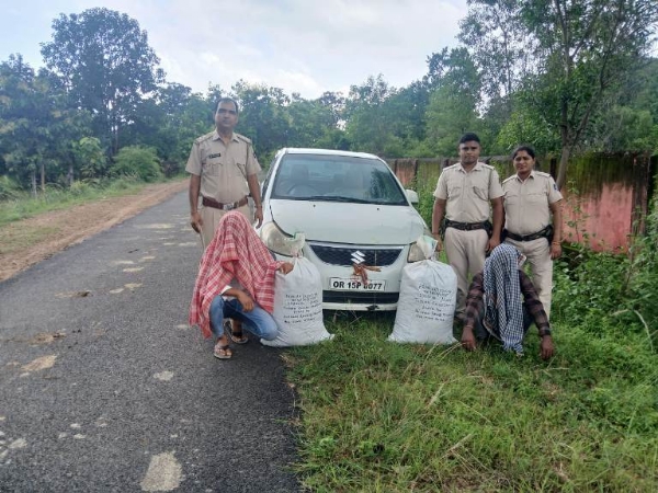 କାର୍ ସହ ୩୦ କେଜି ଗଞ୍ଜେଇ ଜବତ : ୨ ଗିରଫ