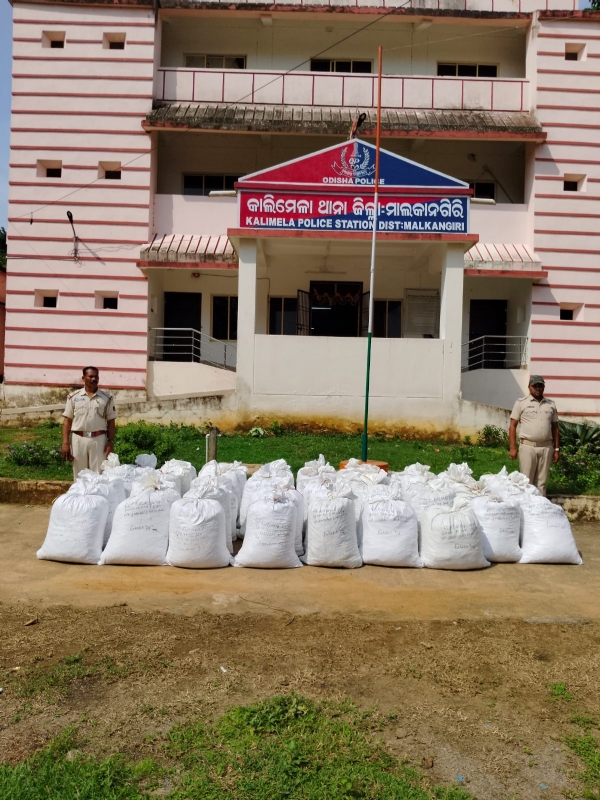 କାଲିମେଳା ପୋଲିସ ପକ୍ଷରୁ ୫୨ ଟି ପ୍ଲାଷ୍ଟିକ୍ ଜରି ବ୍ୟାଗରୁ ୧୩୦୦ କିଲୋଗ୍ରାମ ଗଞ୍ଜେଇ ଜବତ