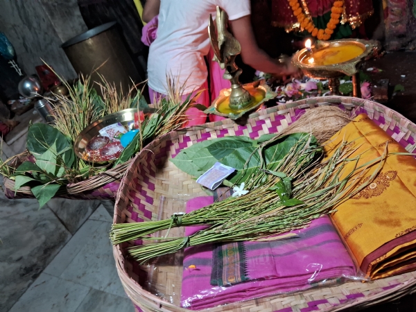 ପଶ୍ଚିମ ଓଡ଼ିଶାର ଗଣପର୍ବ ନୂଆଁଖାଇ ନୂଆଁ ଫସଲ ଅମଳ କରି ଦିଅ ଦେବତା ଙ୍କୁ ଅର୍ପଣ ଓ ପରିବାର ସହିତ ଖାଇବା ର ପର୍ବ