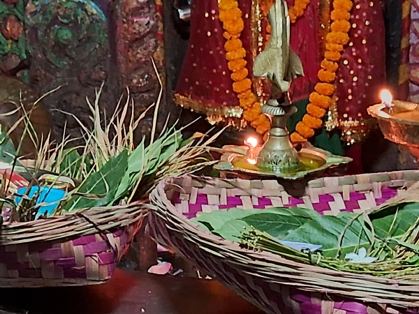 ପଶ୍ଚିମ ଓଡ଼ିଶାର ଗଣପର୍ବ ନୂଆଁଖାଇ ନୂଆଁ ଫସଲ ଅମଳ କରି ଦିଅ ଦେବତା ଙ୍କୁ ଅର୍ପଣ ଓ ପରିବାର ସହିତ ଖାଇବା ର ପର୍ବ