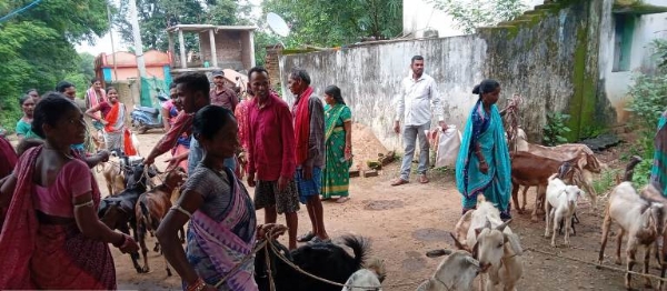 ନୂଆଁଖାଇ ପର୍ବ ଉପଲକ୍ଷେ ଓଡ଼ିଶା ଜୀବିକା ମିଶନ ପକ୍ଷରୁ ବ୍ଲକର ବିଭିନ୍ନ ପଞ୍ଚାୟତରେ ନୂଆଁଖାଇ ବଜାର ଆୟୋଜିତ
