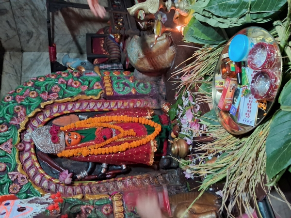 ପଶ୍ଚିମ ଓଡ଼ିଶାର ଗଣପର୍ବ ନୂଆଁଖାଇ ନୂଆଁ ଫସଲ ଅମଳ କରି ଦିଅ ଦେବତା ଙ୍କୁ ଅର୍ପଣ ଓ ପରିବାର ସହିତ ଖାଇବା ର ପର୍ବ