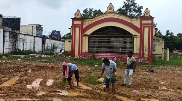 ଐତିହାସିକ କଳାମଣ୍ଡଳ ପଡିଆରେ ଧାନ ଚାଷ