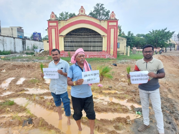 ଐତିହାସିକ କଳାମଣ୍ଡଳ ପଡିଆରେ ଧାନ ଚାଷ
