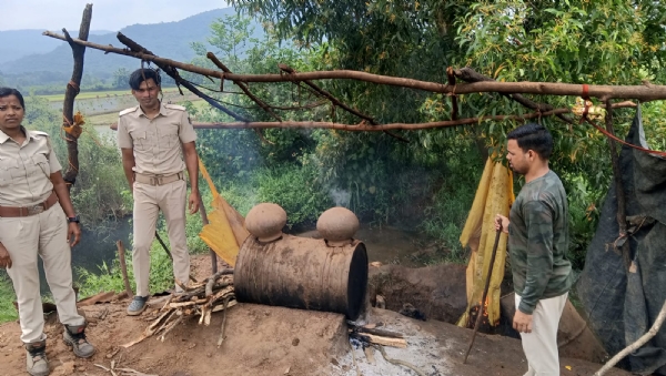 ଘାସିଗୁଡା ଜଙ୍ଗଲରେ ଅବକାରି ଚଡାଉ  