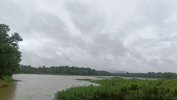 ସିଁଜୁରୀ କଟା କୁ ଇକୋ ଟୁରିଜିମ୍ କରିବାକୁ ଦାବି।