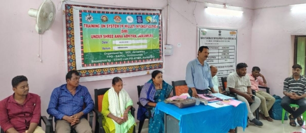 ଶ୍ରୀଅନ୍ନ ଅଭିଯାନ କ୍ରମେ ସଘନ ପ୍ରଣାଳୀରେ ମାଣ୍ଡିଆ ଚାଷ ପ୍ରଶିକ୍ଷଣ