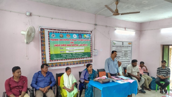 ଶ୍ରୀଅନ୍ନ ଅଭିଯାନ କ୍ରମେ ସଘନ ପ୍ରଣାଳୀରେ ମାଣ୍ଡିଆ ଚାଷ ପ୍ରଶିକ୍ଷଣ